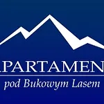 Apartment Pod Bukowym Lasem Meszna