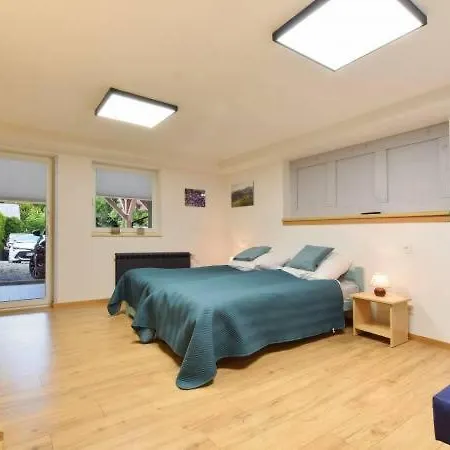 Pod Bukowym Lasem Apartment
