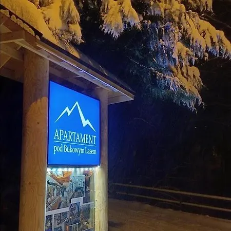 Pod Bukowym Lasem Appartement *