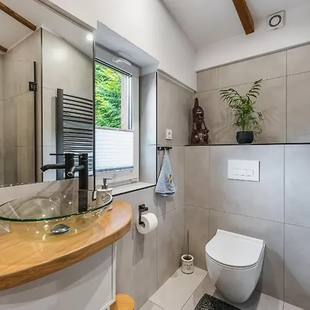 Pod Bukowym Lasem Appartement Meszna