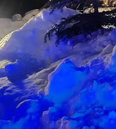 Pod Bukowym Lasem * Meszna