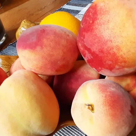 Pod Bukowym Lasem Appartement