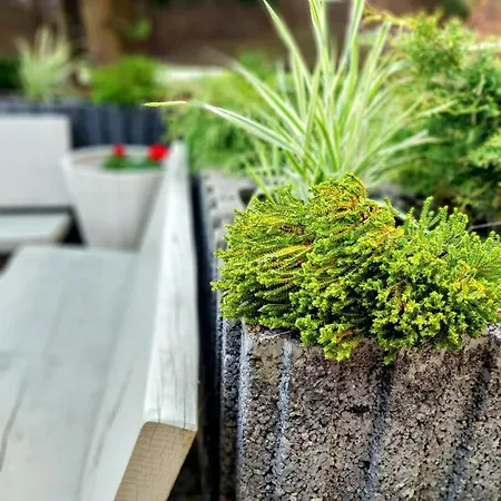 Pod Bukowym Lasem アパート