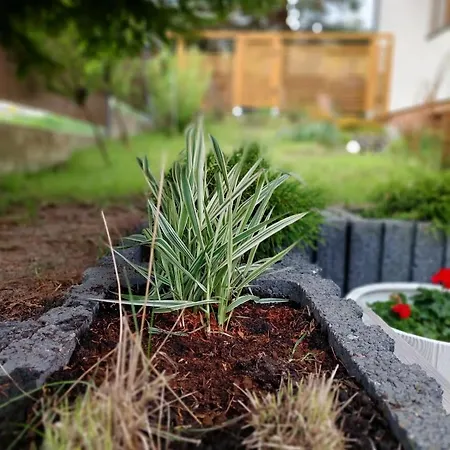 Pod Bukowym Lasem Appartement Meszna