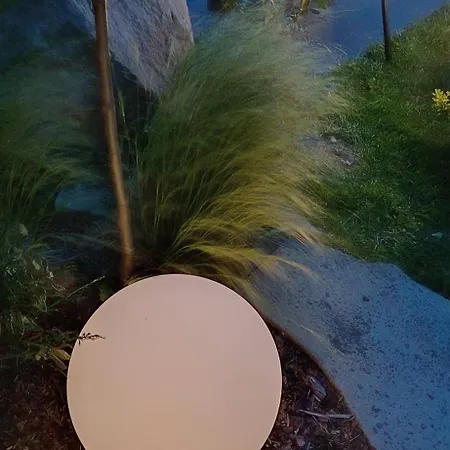 Pod Bukowym Lasem Meszna