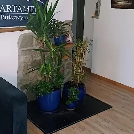 Apartment Pod Bukowym Lasem Meszna