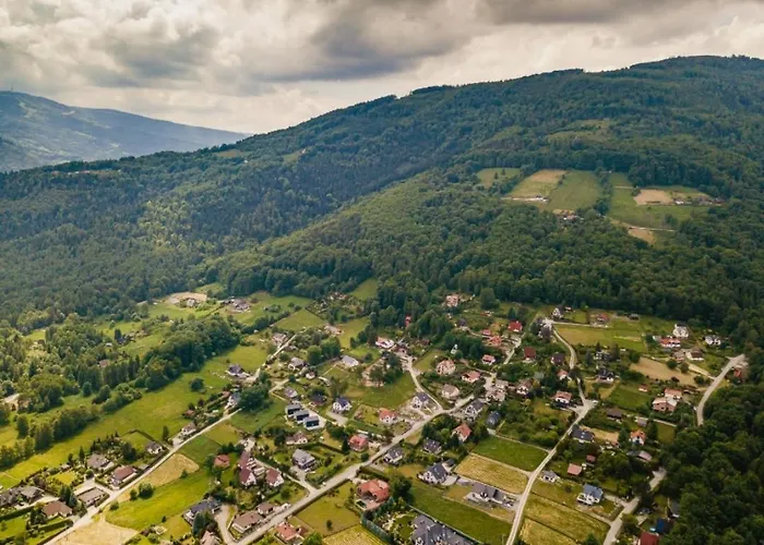 Pod Bukowym Lasem * Meszna