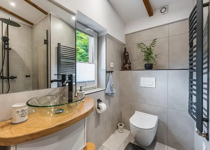 Pod Bukowym Lasem Apartamento Meszna