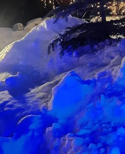 Pod Bukowym Lasem * Meszna