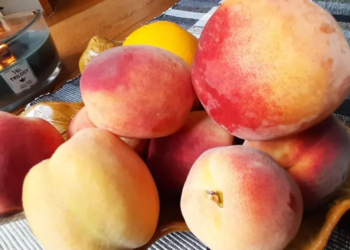 Pod Bukowym Lasem Lejlighed