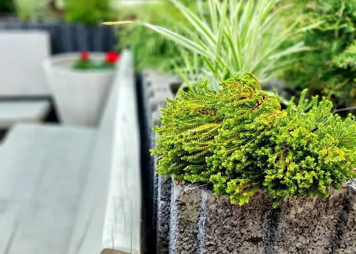 Pod Bukowym Lasem דירה