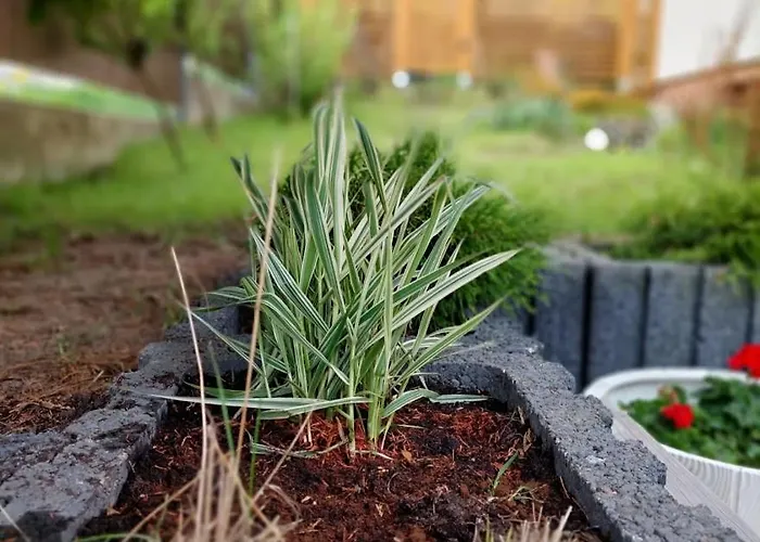 Pod Bukowym Lasem דירה Meszna