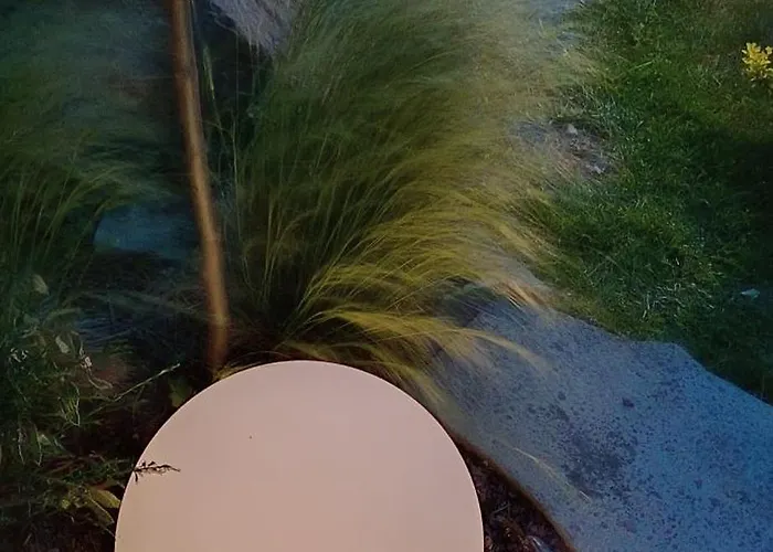 Pod Bukowym Lasem Meszna